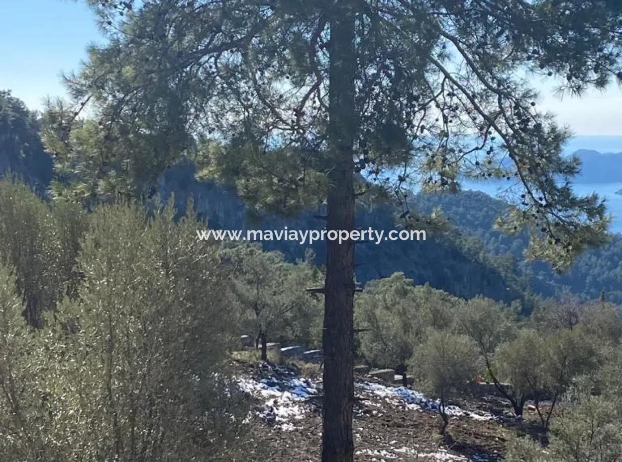 4300 M2 Land For Sale With A Project From The Owner, Only 5 Km From The Center Of Göcek