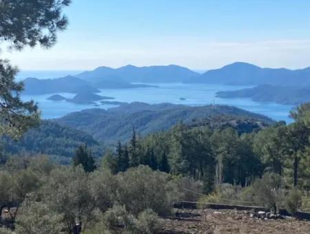 4300 M2 Land For Sale With A Project From The Owner, Only 5 Km From The Center Of Göcek