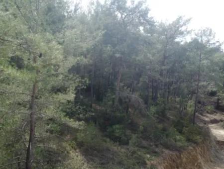 1235M2 Land Suitable For Investment In Göcekte Is For Sale